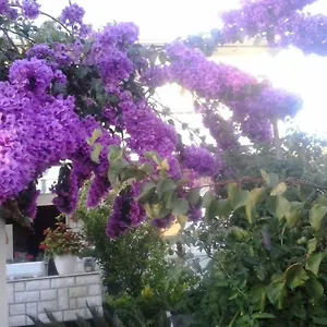 Apartment Branka, Rab Town