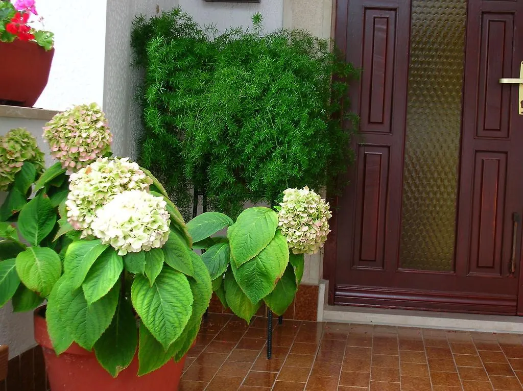 P&Z Apartments Rab Town Croatia
